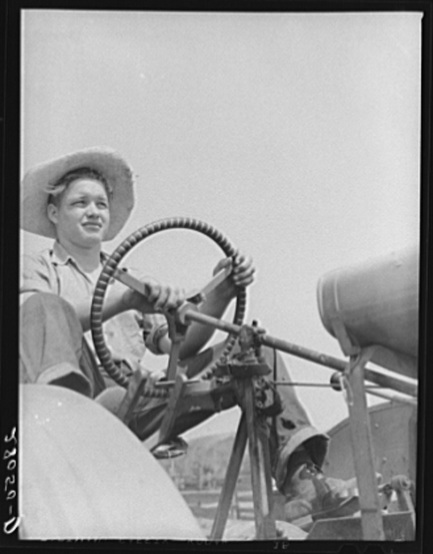 Bud Kimberley drives tractor. Jasper County, Iowa via Library of Congress
